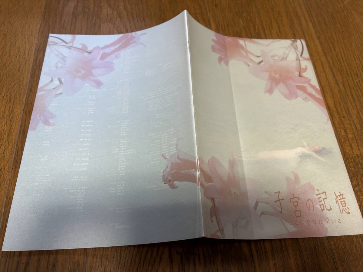 ★即決落札★非売品/映画プレスブック「子宮の記憶 ここにあなたがいる」松雪泰子/柄本佑/野村佑香/中村映里子/余貴美子拍卖