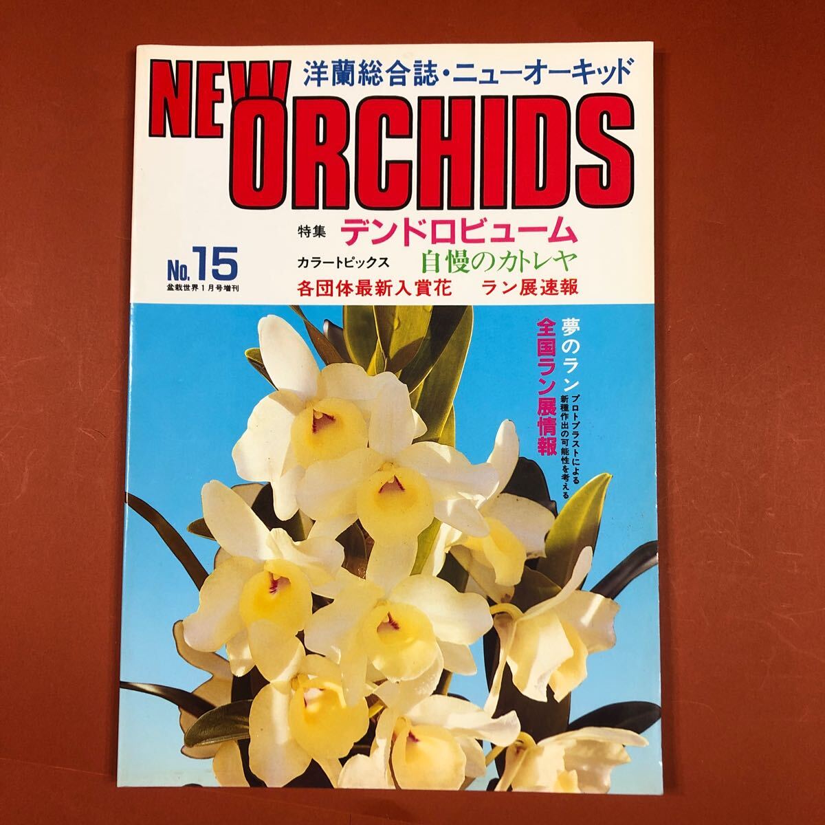 古本 洋ラン情報誌 趣味の洋らん ニューオーキッド No.015 (1986・1) デンドロビューム ヨゴレ有り 拍卖