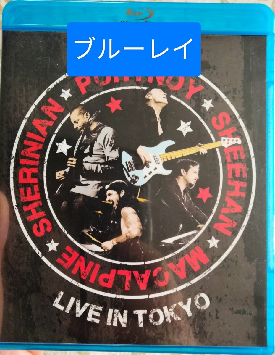 ブルーレイ ポートノイ シーン シェリニアン マカパイン ライヴ ライブ メタル portnoy macalpine sheehan sherinian Blu-ray拍卖