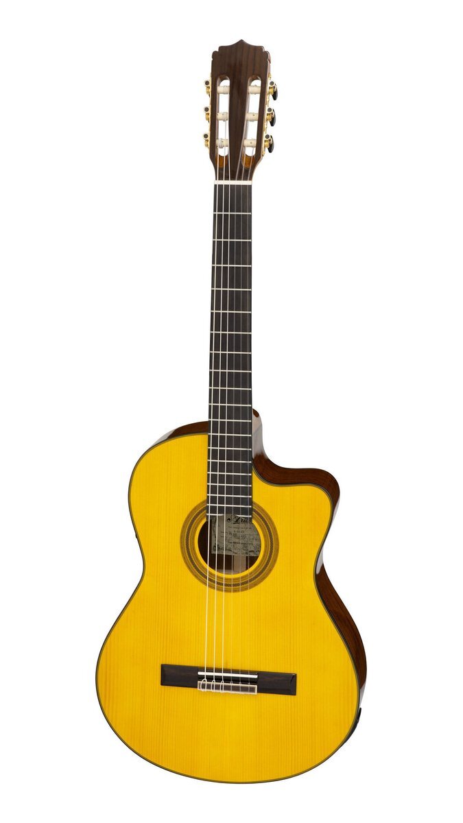 即決◆新品◆送料無料Aria A-35SCE ピックアップ搭載 エレクトリック クラシックギター エレガット/ケース付拍卖