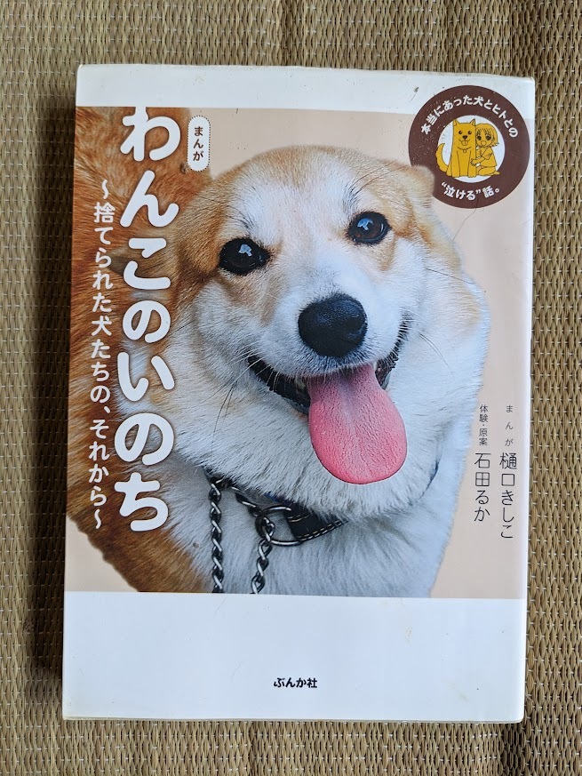 ☆犬大判コミック わんこのいのち「捨てられた犬たちのそれから」拍卖
