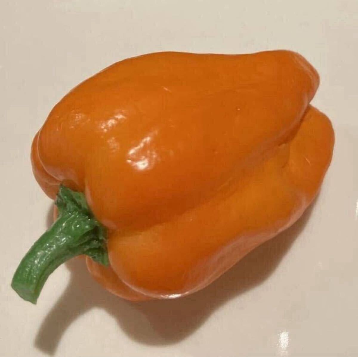 食品サンプル オレンジピーマン 小サイズ拍卖