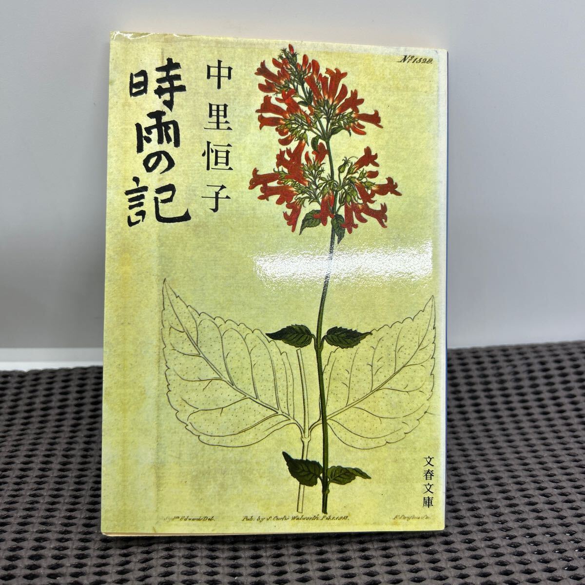 時雨の記/中里恒子/文春文庫/B250128-6*76拍卖