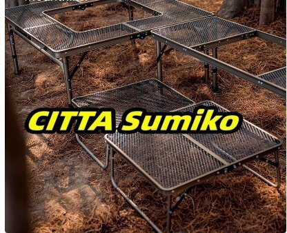 アイアン囲炉裏テーブル メッシュ 焚き火テーブル 着脱式センターテーブル付き 2つ折りコンパクト収納 BBQアウトドア ブラック z1224拍卖