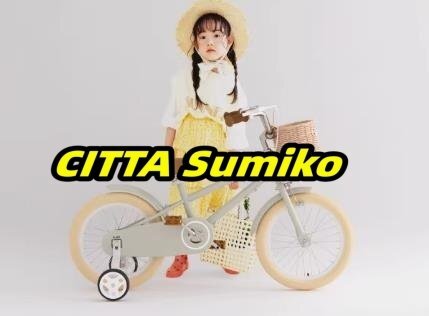 子供用自転車 誕生日プレゼント バランス感覚養成 キッズバイク 贈り物 高さ調節可能 18インチ ランニングバイク 補助輪付き カゴ付き 可愛拍卖