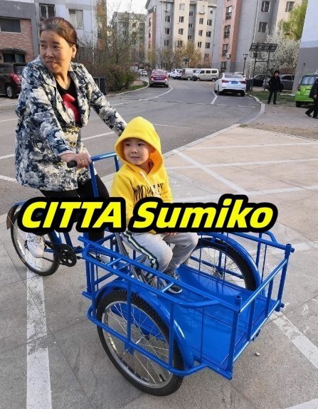 折りたたみ式三輪自転車 高齢の三輪車 最大負荷150kg 快適な自転車 貨物バスケット 大容量 後カゴ付 大人用 三輪車拍卖