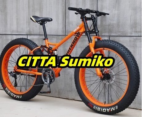 店長特選 ダブルディスクブレーキデュアルサスペンション滑り止め自転車を備えた高炭素鋼フレームのマウンテンバイク折りたたみ自転車F1548拍卖