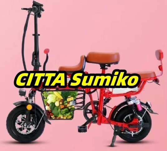 品質保証 12インチの折りたたみ式で取り外しが簡単なバッテリー付き電動自転車 親子用高走行距離電動自転車,48V/8AH 20KMF698拍卖