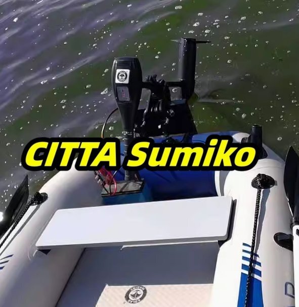 DCー 12ボルト 24 ボルト 18LBS 電気トローリングモーター インフレータブルボート船外機エンジン拍卖