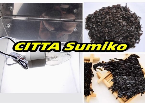 ミニ海藻コンテナ 25W ステンレススチール製海藻乾燥ボックス 光るライト付き 電気野菜乾燥機 海苔 野菜 寿司用拍卖