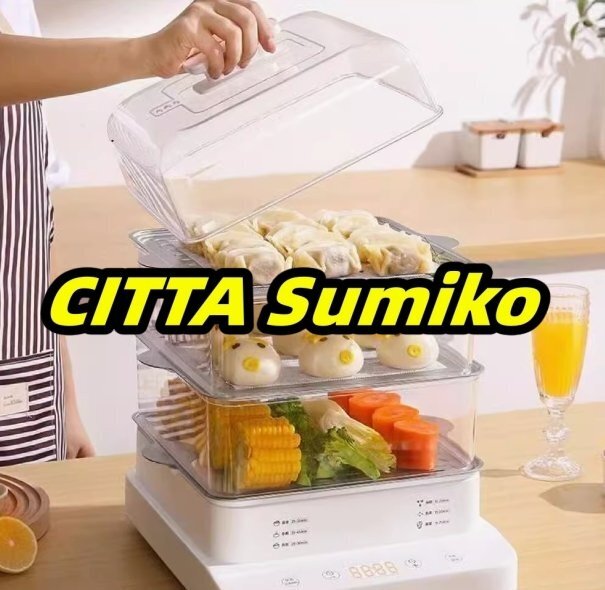 電気蒸し器 3段 蒸し器 電気 スチームクッカー 22L 大容量 多機能 家庭用 二重三層蒸し器 朝食用機械 卵蒸し器 スチーマー 24H予約タイマー拍卖