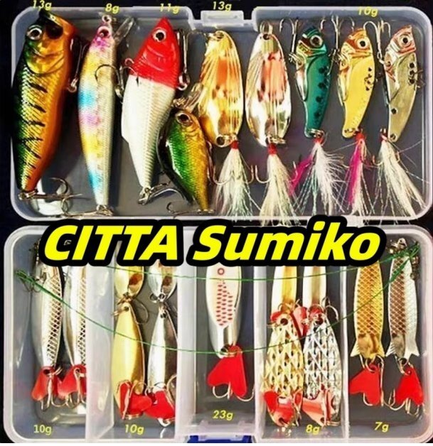 Multi 釣り ルアー Mixed 色s プラスチック Metal Bait Soft ルアー Kit 釣り Tackle Wo 送料無料拍卖