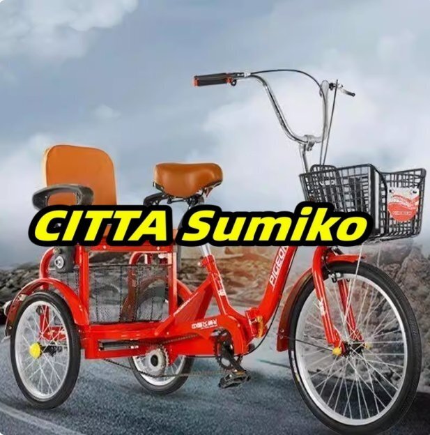 実用品!前輪20インチ・後輪16インチ 大容量 後カゴ付 大人用 三輪自転車 収納便利 高齢者用 高さ調節可能 組立品 初心者の自転車 104拍卖