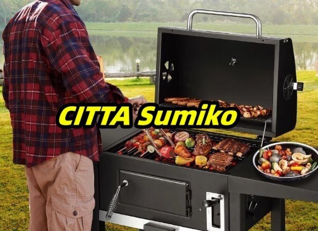 5-10人用 バーベキューグリル 家庭用バーベキューグリル 炭屋外バーベキュー カーボンオーブン 中庭 グリル 炭火焼拍卖