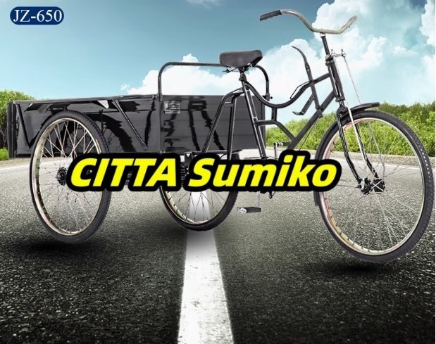 前輪24インチ・後輪20インチ 大人用貨物三輪車 載荷重80kg ダブルブレーキ 三輪車 大容量 後カゴ付き ブルー拍卖