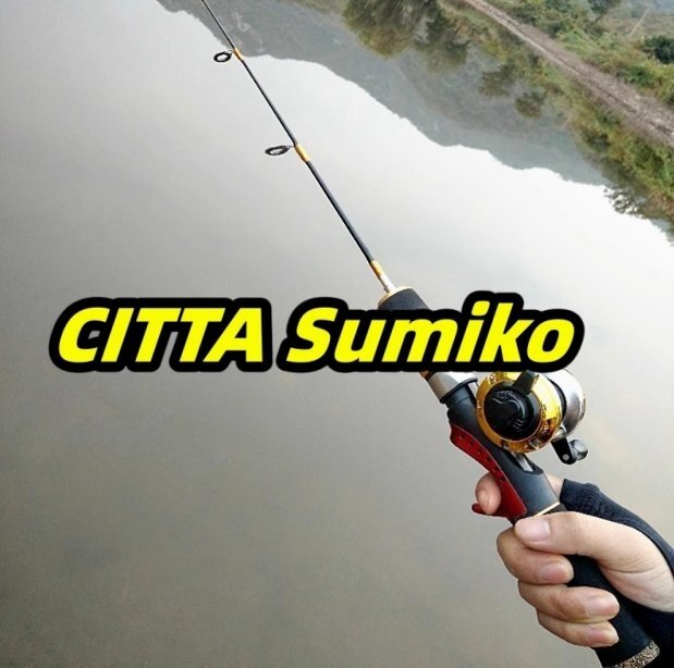 実用品◆釣具 フィッシング 釣り竿 穴釣り ワカサギ釣りコンパクトロッド ベイトリールセット 釣り竿セッ 006拍卖