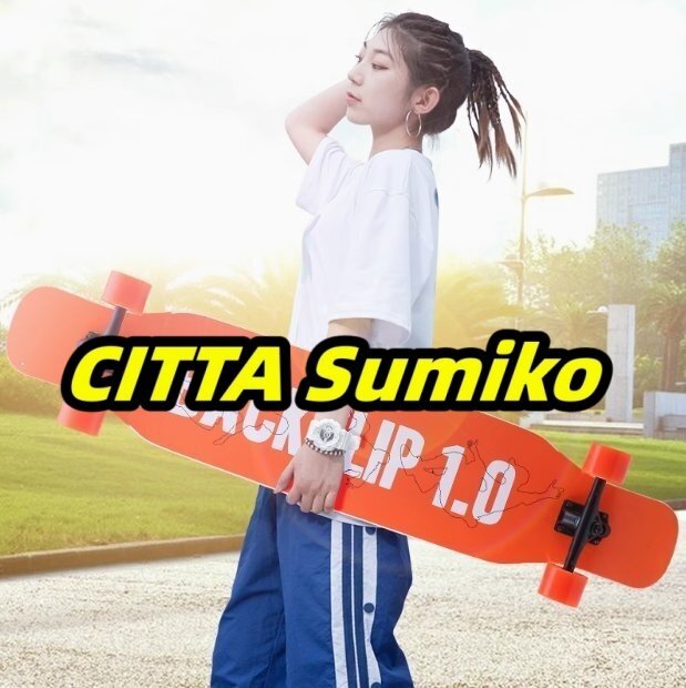 スケートボードロングボード四輪スケートボードのダンスステップボード・ロードの旅ブラシストリートスクーター専門の男性と女性大人拍卖