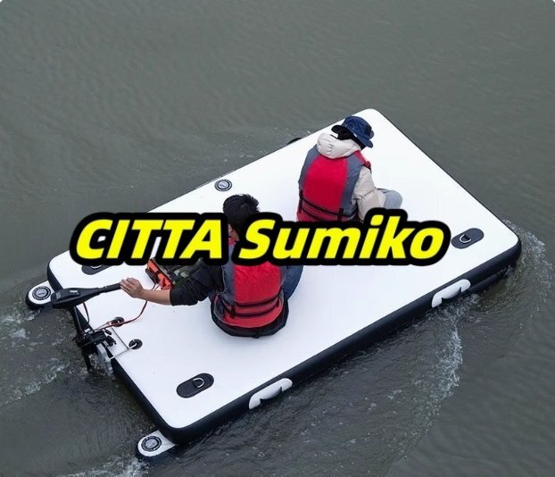 水上プラットフォームC 釣り SUP ソフトボード パドルボード カヌー 持運び便利 #アウトドア 遠距離移動しやすい拍卖