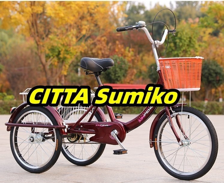 三輪自転車 折りたたみ 高齢者用 前輪20インチ・後輪18インチ 組立品 ロータイプ 大容量 後カゴ付 高さ調節可能 車輪ロック拍卖