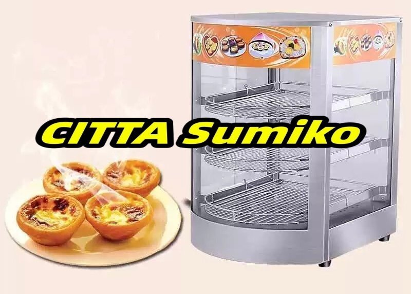 業務用フードウォーマー 電気カウンタートップ食品ディスプレイケース 800W 3層エッグタルトキャビネット 食品保存装置 サーモスタット拍卖