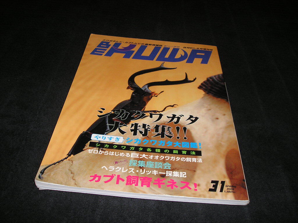 ビークワ BE-KUWA No.31 シカクワガタ大特集!!拍卖