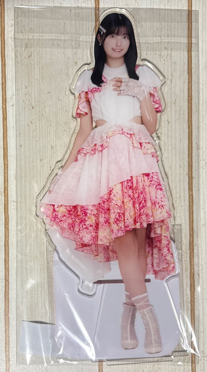 五百城茉央 乃木坂46 lucky bag 2025 ランダム福袋 5期生ver. 個別ランダムBIGアクリルスタンド 新品未開封品 即決 2025年 福袋 アクスタ拍卖