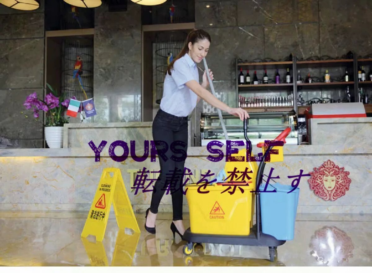 商業用クリーニングカート、35L 取り外し可能なホイール付きモップバケツ、水フィルターと分離器付き、ホテル、レストラン、オフィス向けの拍卖