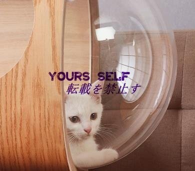 キャットハウス キャットベッド 猫用ハウス ペット用品 天然木 ナチュラル拍卖