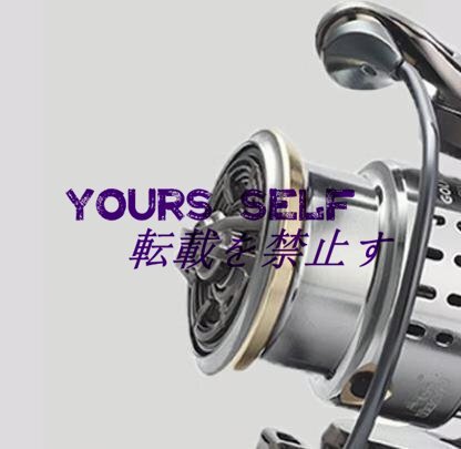 スピニングリール ダブルハンドル 3000S 両利き 左右交換ハンドル 釣り用 釣具 全魚種対応 フィッシング 軽量 リール ブラック z2462拍卖