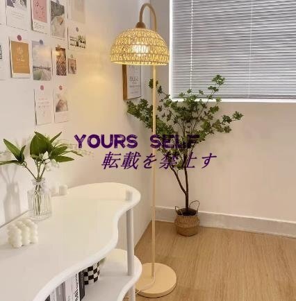 ベッドサイドランプ ソファサイドスタンディングライト フレンチシンプルフロアランプ E27ベース 垂直ランプ 防錆鉄拍卖