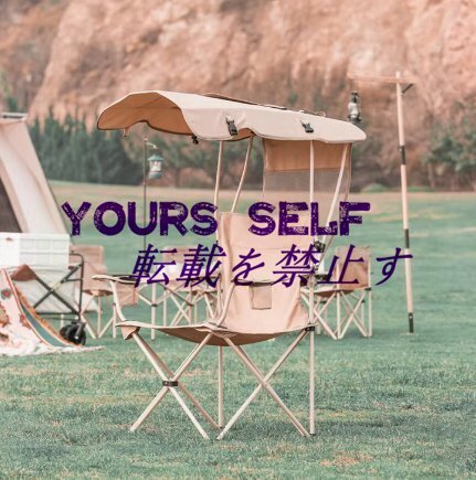 見逃せない!日よけ付き椅子 折りたたみ アウトドア チェア 耐荷重102kg 収納バッグ付き 1人用 遮光 釣り 登山 ビーチ ガーデン レジャー拍卖