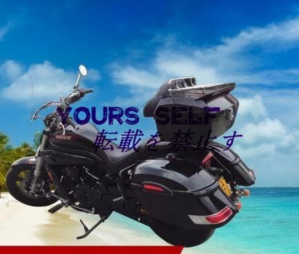 バイク用サイドボックス サイドケース 左右セット ABS素材 着脱簡単 取り付けステー LEDランプ/鍵2本/ブラケット付き 収納ボックス 防水 黒拍卖