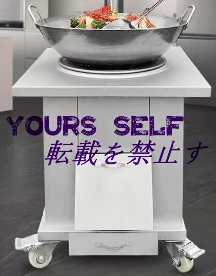 キャンプ 薪ストーブ、薪ストーブ 大型、ウッドストーブ、暖炉、焚き火台、 ステンレス鋼 高熱効率 屋外調理および暖房用 40cm拍卖