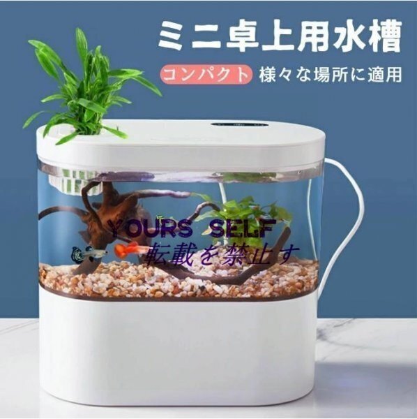 LEDライトフィルターポンプ付き水槽セットアクアリウム コードレス 水族館 オーナメント 自由研究 玄関 LEDランプ 水槽セット拍卖