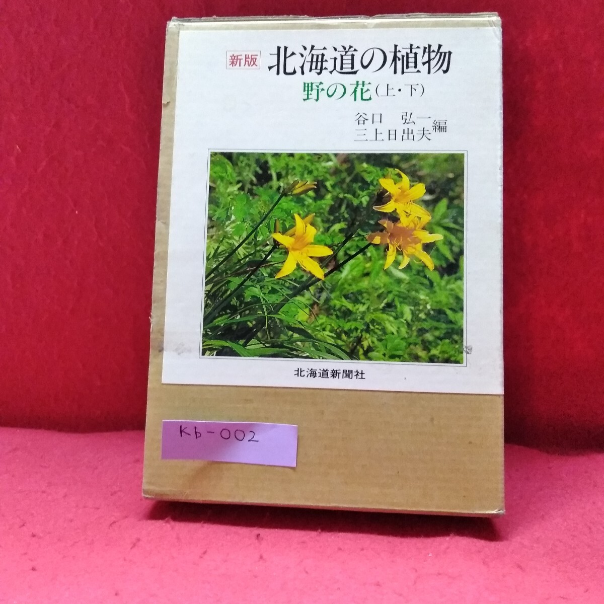 Kb-002/新版 北海道の植物 野の花(上・下) 上下巻セット 谷口弘一 三上日出夫 編 1993年3月30日 4刷 北海道新聞社/L10/701031拍卖