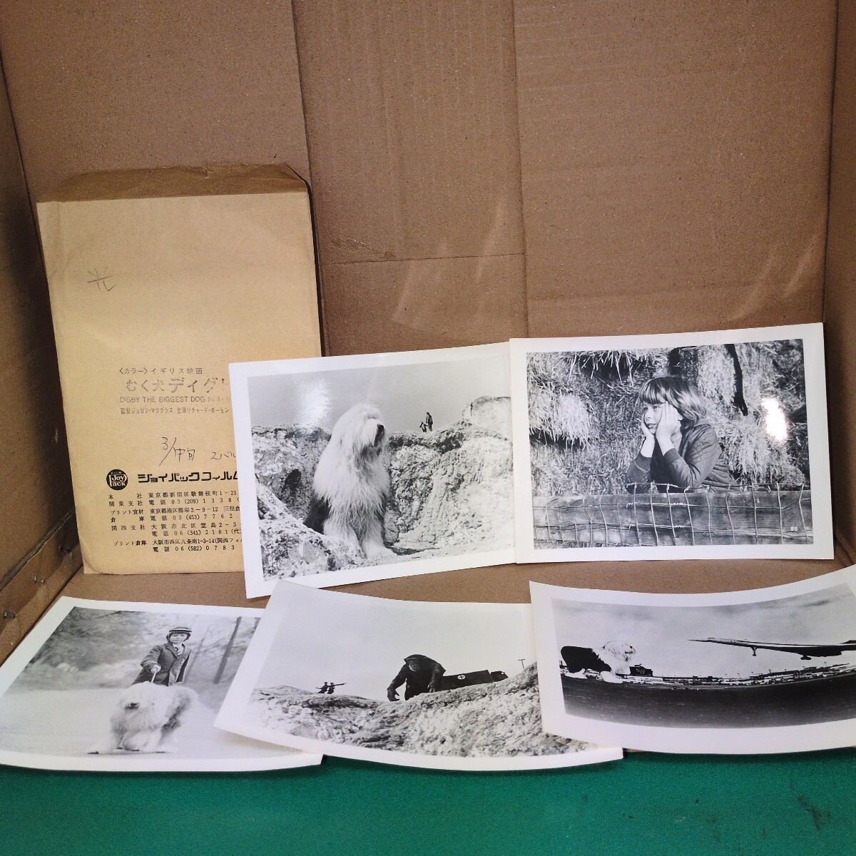 198円スタート むく犬ディグビー 1973年拍卖