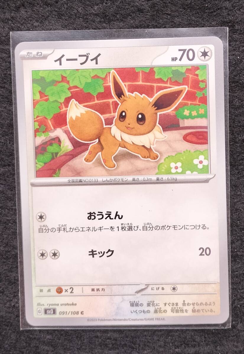 ポケモンカードゲーム イーブイ C 黒炎の支配者 未使用拍卖