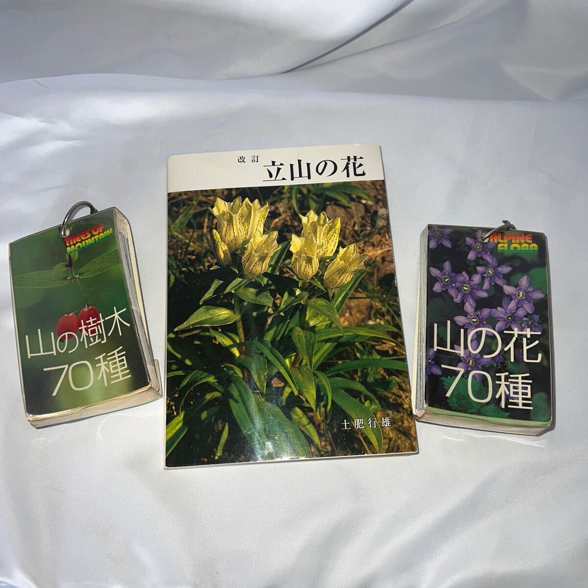 T1-8-2 立山の花 山の樹木 山の花 山登り 山岳 趣味 本 アルペン拍卖