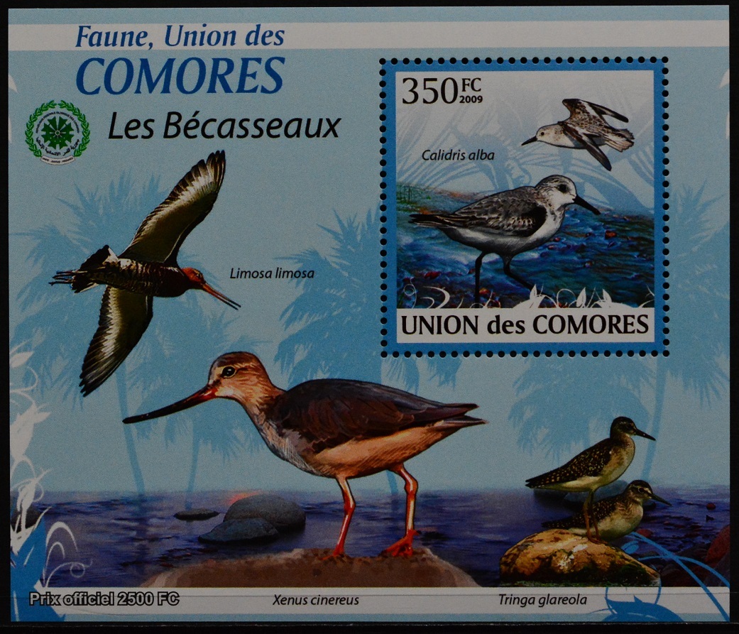 「TC187」コモロス諸島切手 2009年 鳥拍卖