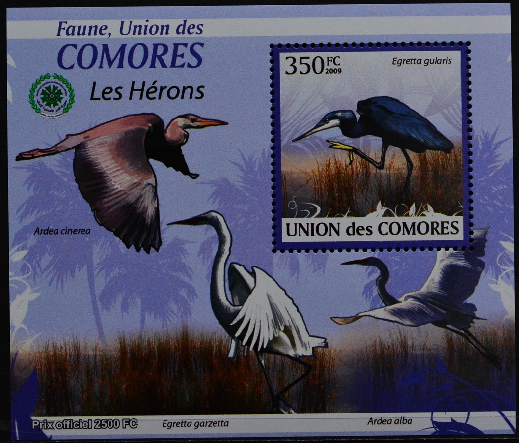「TC182」コモロス諸島切手 2009年 鳥拍卖