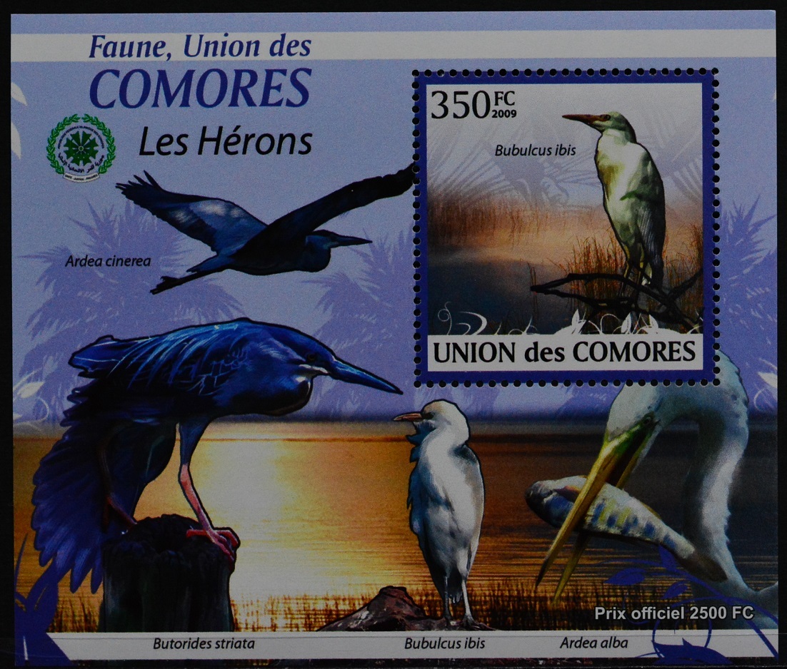 「TC188」コモロス諸島切手 2009年 鳥拍卖