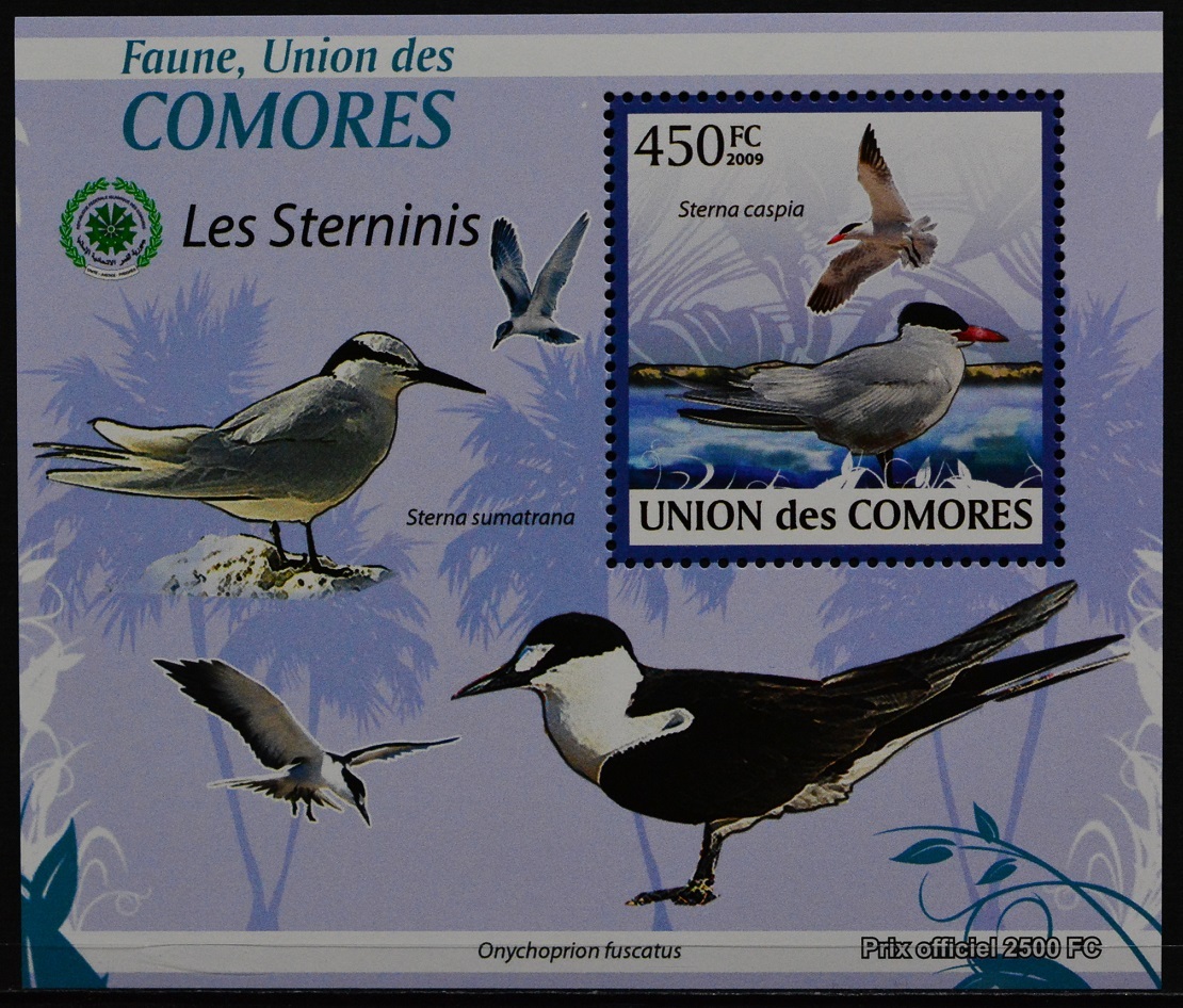 「TC184」コモロス諸島切手 2009年 鳥拍卖
