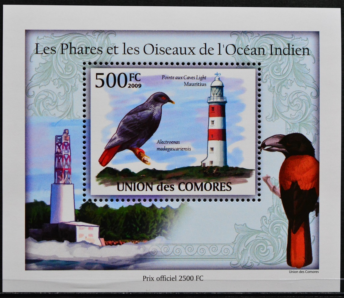 「TC202」コモロス諸島切手 2009年 鳥拍卖