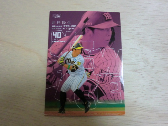 BBM 2024 No.124 井坪陽生 ベースボールカード ルーキーエディション ROOKIE拍卖