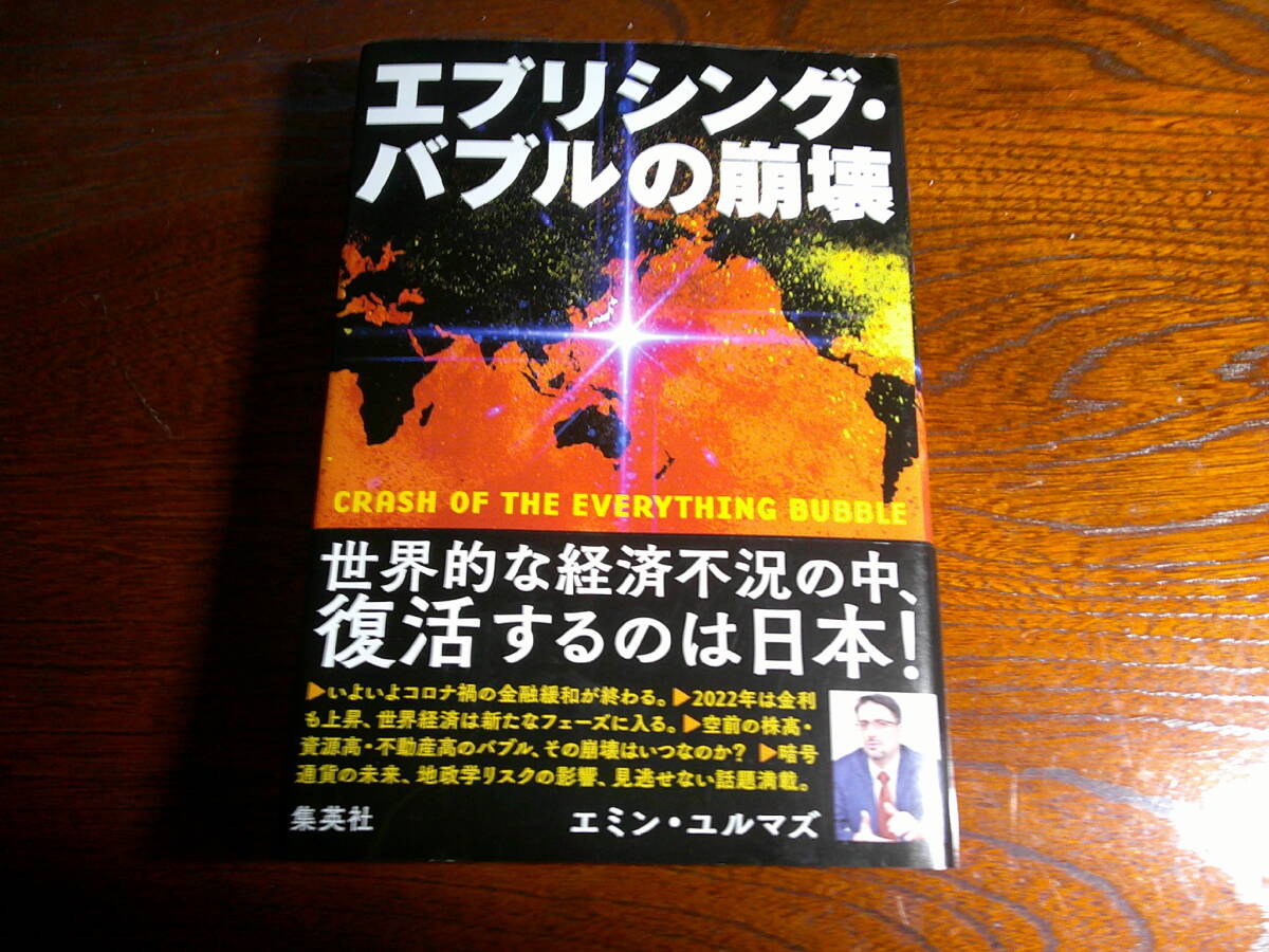 エブリシング・バブルの崩壊 エミン・ユルマズ 著 株式投資 FX マネープラン NISA 拍卖