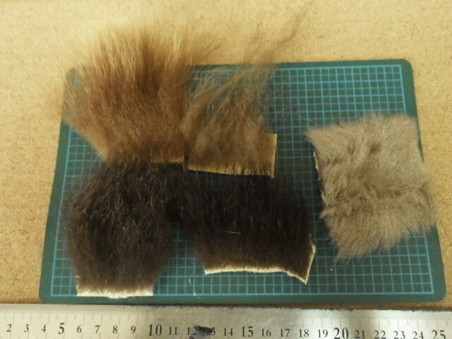 hgsq02 ヒグマ4色 & エゾリス拍卖