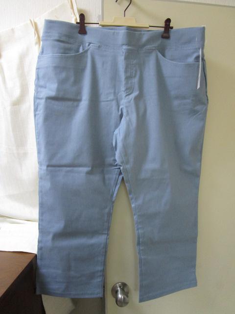 未使用タグ付き LUMFORLE ストレッチパンツ 5Lサイズ ブルーグレー拍卖