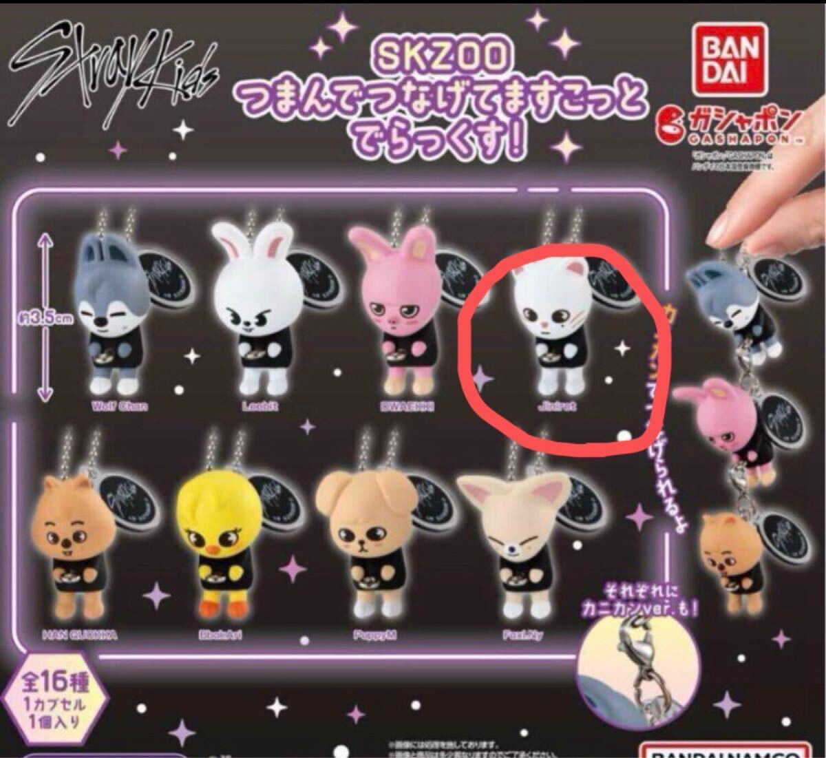 SKZOO つまんでつなげてますこっと でらっくす!ジニレット ボールチェーンver. スキズ拍卖