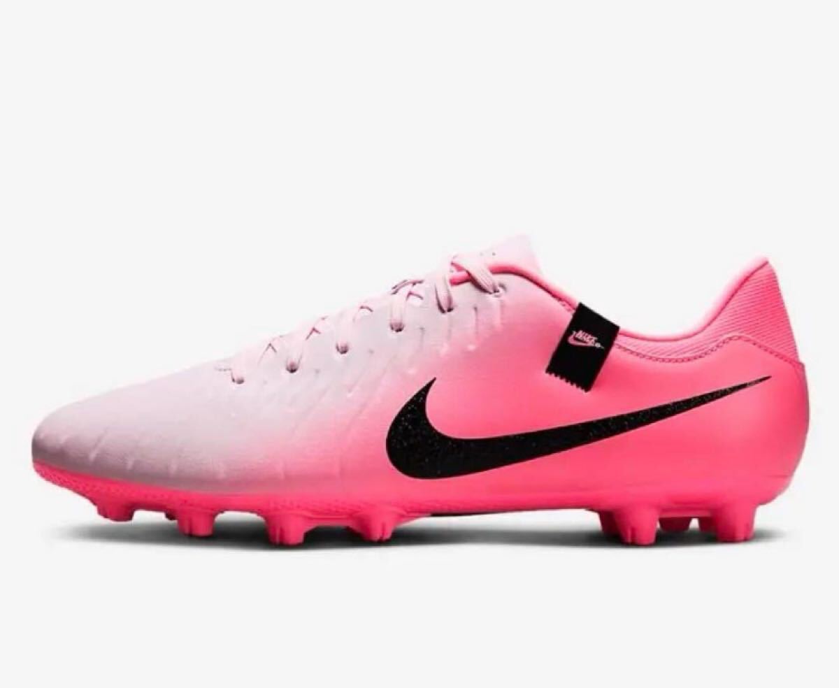 送料無料 新品 NIKE LEGEND 10 ACADEMY HG 27.5拍卖