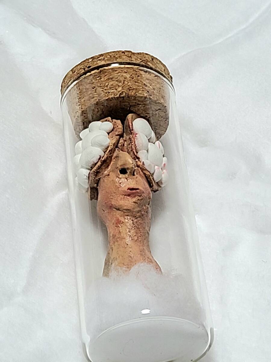 一点物 永野蟲 卵蓄光体 NN-08 寄生型怪奇蟲 怪奇標本 UMA リアル 芸術作品 妖怪 オカルト 標本瓶 蟲師 未確認生物拍卖